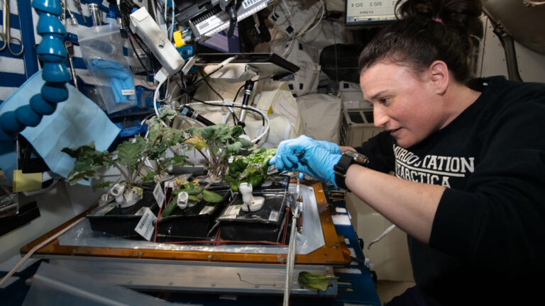 astronaut serena harvest iss