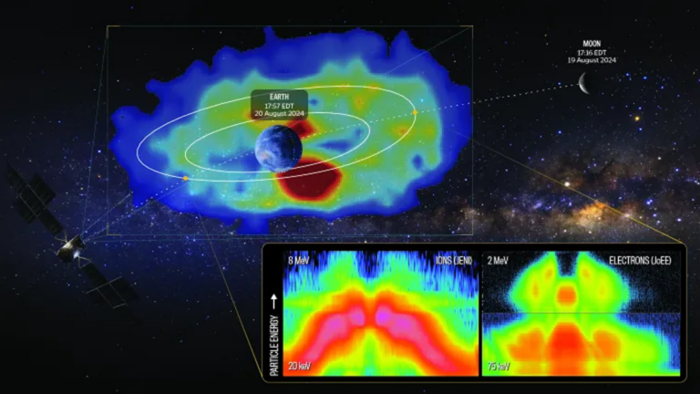 JUICE Radiation Belt