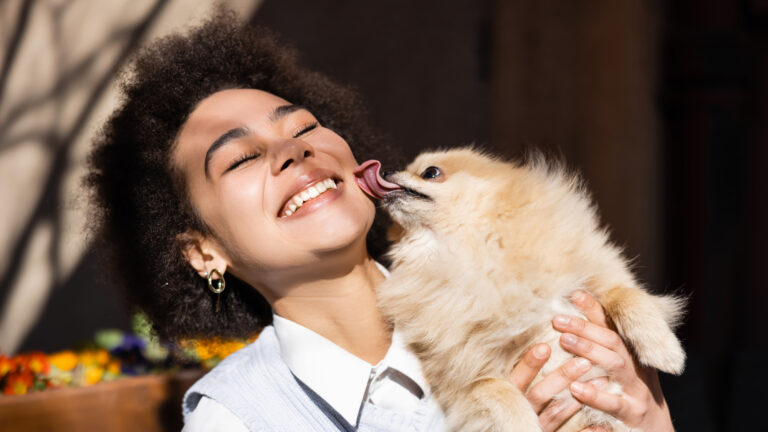 dog licking human why