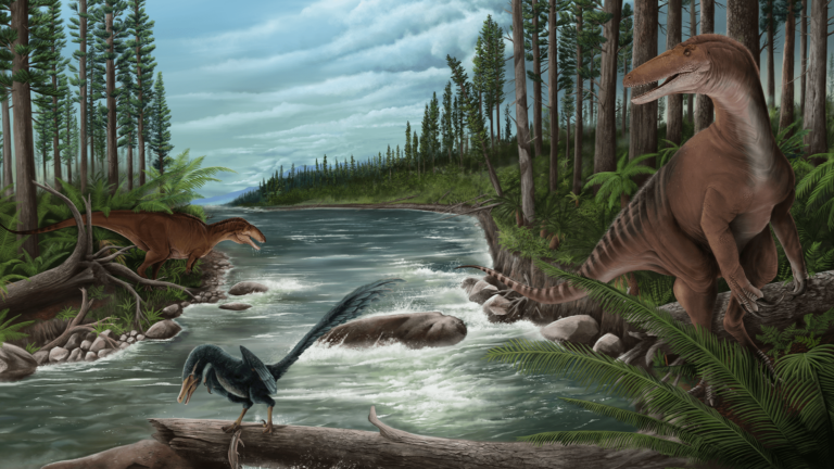 cretaceous australia illustration