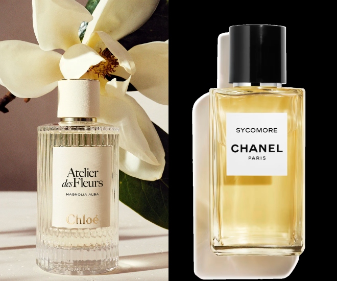 Fragrance featured final image